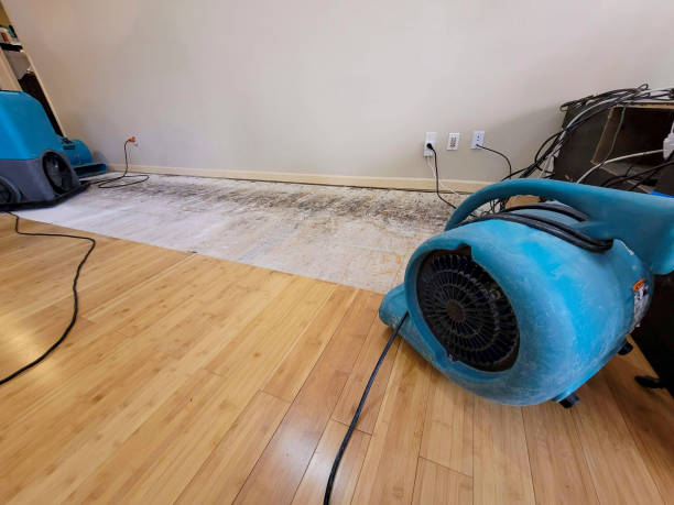 Professional Structural Drying technician working in Maypearl, TX